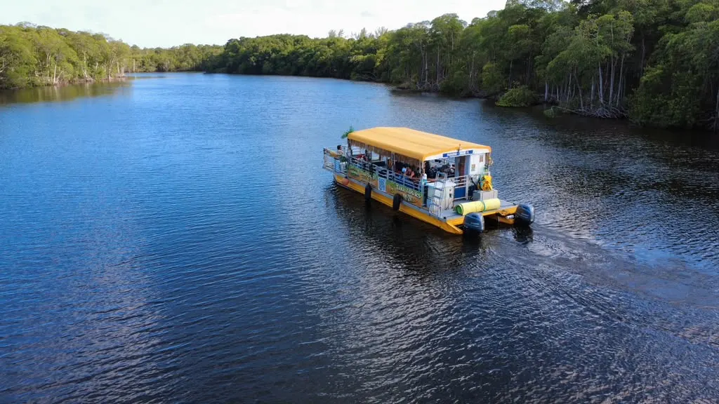 Tiki Paradiso cruising through mangroves with lush green canopy